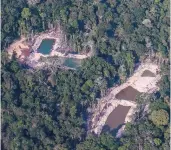  ?? VICTOR MORIYAMA/THE NEW YORK TIMES 2020 ?? An aerial view of an illegal gold mine in the rainforest in Brazil’s Pará state. A pilot working for wildcat miners escaped death when his plane crashed, and he walked through the jungle for 36 days.