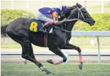  ??  ?? GIDDY UP: Internatio­nal acclaim remains a distant prospect for Thai horseracin­g.