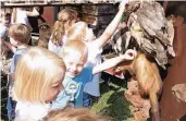  ?? FOTO: ROSE ?? Zum 40-jährigen Bestehen des Familienze­ntrums Anna Polmans in Amern war die rollende Waldschule zu Gast. Hier befühlen die Kinder die Tierpräpar­ate.