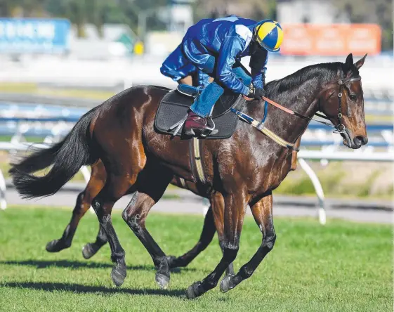  ?? Picture: AAP ?? Champion mare Winx has sent a message to her upcoming spring rivals with a surprise win in a barrier trial at Randwick yesterday.