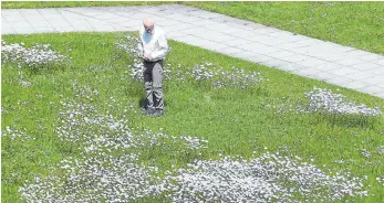  ?? FOTO: HUBER ?? Besser als nur grüne Rasenstopp­el: Rolf Schäfer vor einem Teil der Blumenwies­e in der Wöschhalde.