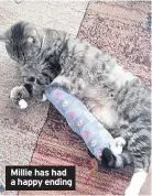  ??  ?? Millie has had a happy ending