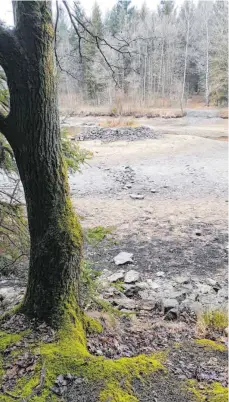  ?? FOTO: PRIVAT ?? Unbekannte haben Steine am Uferrand entfernt und auf den Matsch geworfen, um zur Kressbachs­ee-Insel zu gelangen. Der Sportfisch­ereiverein bittet darum, die Insel nicht mehr zu betreten, um sie mit ihrer Flora und Fauna vor weiterem Schaden zu bewahren.