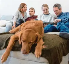  ??  ?? Seit Therapiehu­nd Buddy in der Familie Pleterski mit Mutter Katja, dem Stiefvater Niels Schumann und der Schwester lebt, geht es Aron besser.