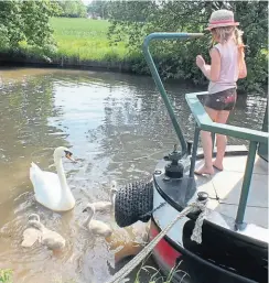  ?? ?? Alice’s daughter feeding swans as a young child.