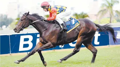  ?? GOLD CIRCLE ?? Pack Leader is great value for money at Greyville when he contests the World Sports Betting 1900 (Grade 2) tomorrow. /