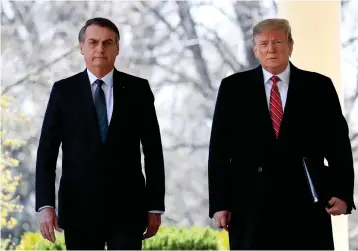  ?? Bild: Manuel Balce Ceneta ?? Klimatförn­ekande och nationalis­tiska presidente­r. Brasiliens president Jair Bolsonaro och USA:S president Donald Trump vid ett möte i mars tidigare i år.