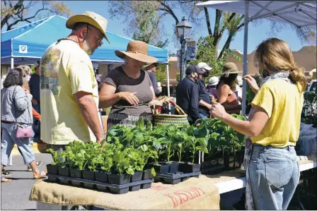  ?? WILL HOOPER/Taos News ?? A merhcant talks peppers with a couple on Saturday (May 15) at the Farmer’s Market in Taos Plaza.