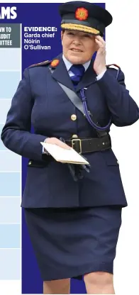  ??  ?? evidence: Garda chief Nóirín O’Sullivan