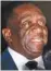  ??  ?? Emmerson Mnangagwa