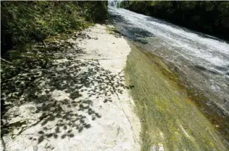  ??  ?? En aval de Rondchâtel, la rivière plonge sur une trentaine de mètres.