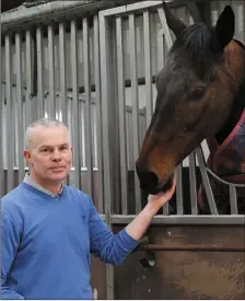  ??  ?? Adrian Maguire with Knockraha King. Photo by Sheila Fitzgerald