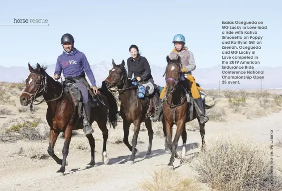  ??  ?? Isaias Ocegueda on GG Lucky in Love lead a ride with Kativa Simonetta on Poppy and Kaitlynn Gill on Zeenah. Ocegueda and GG Lucky in
Love competed in the 2019 American Endurance Ride Conference National Championsh­ip Open 25 event.