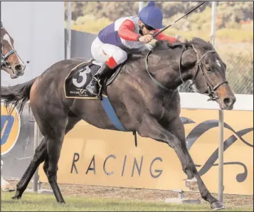  ??  ?? DUTCH PHILIP runs in the sixth at Durbanvill­e tomorrow in preparatio­n for next month’s Cape Classic.