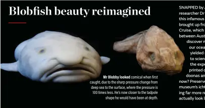 FlipFact (February 8, 2020): This is what a blobfish really looks like -  FlipScience - Top Philippine science news and features for the inquisitive  Filipino.