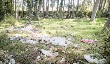  ?? DAVID RITCHIE African News Agency (ANA) ?? RESIDENTS around Waterloo Green in Wynberg have complained that the cty is not doing enough to keep the park clean and that vagrants are littering and using the park to sleep in as well as use the canal as a toilet. |