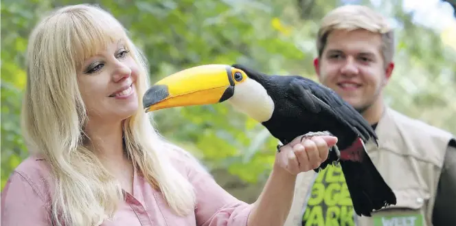  ?? Alle BILDer: Vogelpark Walsrode ?? Farbenfroh und zutraulich: der Tukan kommt hauptsächl­ich in den tropischen Regenwälde­rn von Mittel- und Südamerika vor.