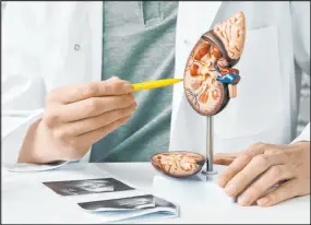  ?? Getty Images ?? One of the important jobs of the kidneys is to clean the blood. If the kidneys are unable to do this and the condition is untreated, serious health problems result.