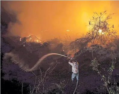  ?? Mauro pimentel/afp ?? Un voluntario combate las llamas en el estado de Mato Grosso