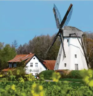  ?? Foto: Nicole Jankowski/dpa-tmn ?? Ein beeindruck­endes Bauwerk: Mit ihrem strahlend weißen Anstrich ist die Windmühle Großenheer­se schon von weitem gut zu sehen.