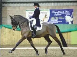  ??  ?? PSG bronze winners, Jade Clark and the Lusitano stallion Espirito