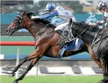  ?? TRISH DUNELL ?? Sir Charles Road is chasing a $200,000 bonus for winning at Flemington today.