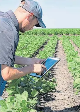  ??  ?? Perfil. El sector agropecuar­io, adonde se destinan buena parte de los fondos y de los esfuerzos de investigac­ión de Córdoba.