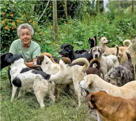  ?? FOTO ?? La bondad de doña Lucía Rico no tiene límites. Ella sola, con apoyo de voluntario­s, claro, protege 250 mascotas.
