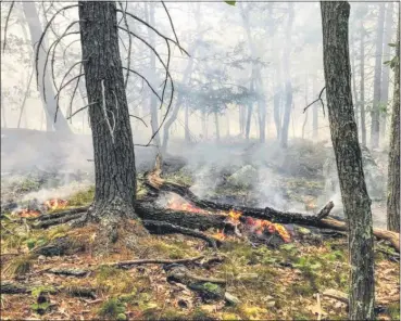  ?? NEW PALTZ FIRE DEPARTMENT, VIA MID-HUDSON NEWS NETWORK ?? This photo shows a small part of the Mohonk Ridge wildfire.