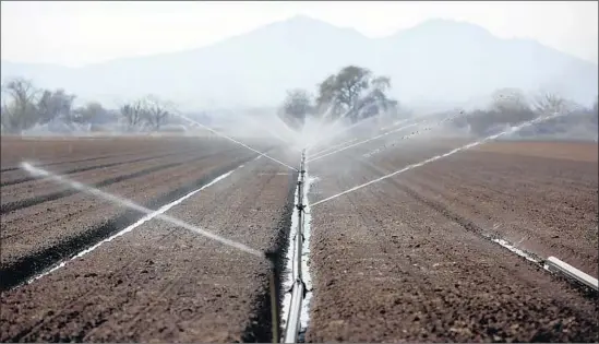  ?? Katie Falkenberg Los Angeles Times ?? A FARM in the Sacramento-San Joaquin Delta area. State officials will probably have to scale back a $17-billion proposal to build two water tunnels under the delta.