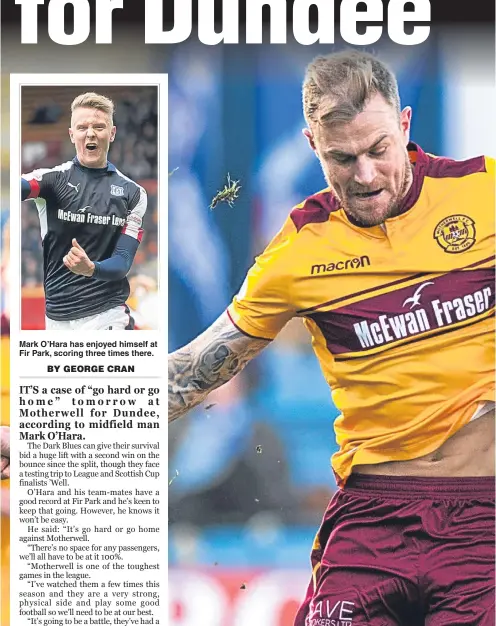  ??  ?? Mark O’Hara has enjoyed himself at Fir Park, scoring three times there. Dundee’s versatile midfielder Mark O’Hara knows everyone will have to be at