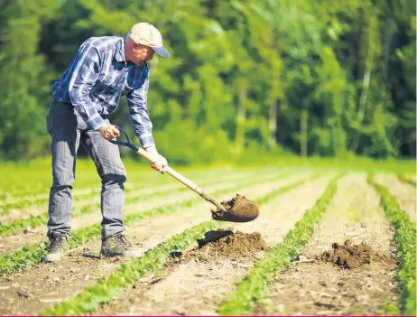  ??  ?? Les agriculteu­rs peuvent mettre en place plusieurs actions pour surmonter une crise comme celle de la COVID-19