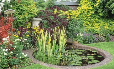  ??  ?? Splash out: A miniature wetland in your garden will help wildlife to thrive