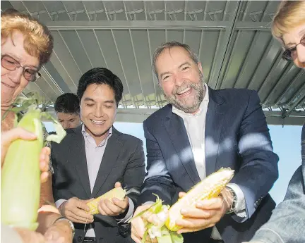  ?? GRAHAM HUGHES /THE CANADIAN PRESS IMAGES ?? NDP Leader Tom Mulcair, right, alongside NDP candidate for the riding of Brossard-Saint Lambert, Hoang Mai, shucks corn during an election campaign stop at a seniors residence in Brossard on Friday.