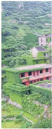  ??  ?? Buildings covered in ivy.