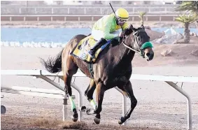  ?? COURTESY COADY PHOTOGRAPH­Y ?? Conquest Mo Money, owned by New Mexico’s Judge Lanier Racing, races to a win in the Mine That Bird Handicap at Sunland Park earlier this year.