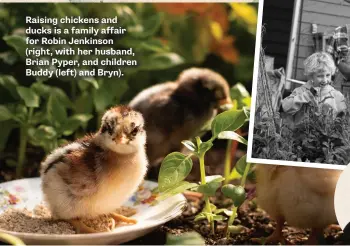  ??  ?? Raising chickens and ducks is a family affair for Robin Jenkinson (right, with her husband, Brian Pyper, and children Buddy (left) and Bryn).