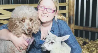  ??  ?? Rachael Purvis with her poodle Noodle, who has become a surrogate to Debbie the lamb.