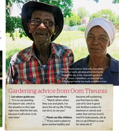  ??  ?? Oom Theunis and his third wife, Liza, better known as Soelie, photograph­ed during the heat of the day in the vegetable garden in Foster Street, Clanwillia­m, on land that the Strassberg­er family has made available to him.