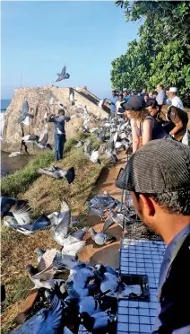  ?? Pic by Gamini Mahadura ?? 300 pigeons were released in Galle.