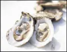  ?? CONTRIBUTE­D BY ANSLEY WEST RIVERS ?? Efforts are underway to build the foundation for sustainabl­e oyster aquacultur­e in the state.