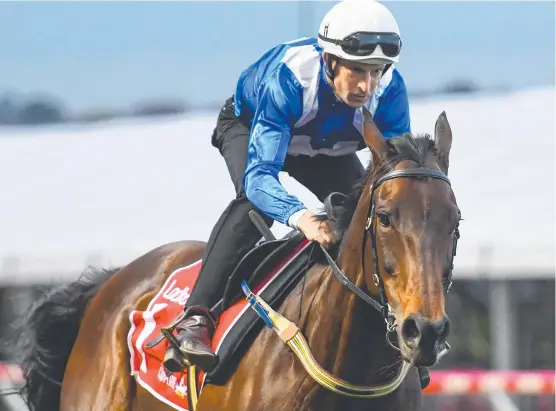  ?? HISTORY MAKER: Hugh Bowman riding Winx. The champion mare is seeking a record fourth straight Cox Plate victory. ??