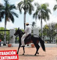  ??  ?? TRADICIÓN
CENTENARIA
La cría de caballos de Paso Fino ha sido desarrolla­da en Puerto Rico con esmero y celo.