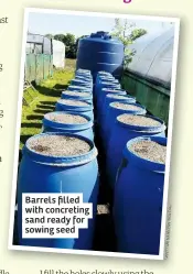  ??  ?? Barrels filled with concreting sand ready for sowing seed