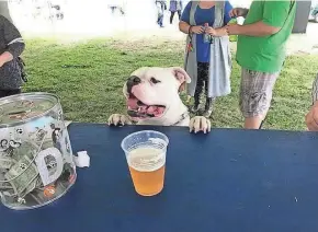  ??  ?? Bark ‘N Brew combines man’s best friend with Wisconsin’s favorite drink.