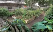  ?? GENE WALSH — DIGITAL FIRST MEDIA ?? View of the Kitchen Garden at the Morgan Log House in Towamencin.