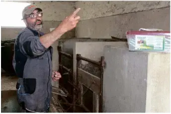  ??  ?? Antoine Savey, céréalier, éleveur bovin et producteur laitier dans cette ferme de la reconstruc­tion, présente les box des veaux, bâtis en 1950.