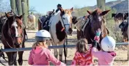  ?? TNS ?? Some of Tanque Verde's younger guests get to know the horses at the dude ranch.
