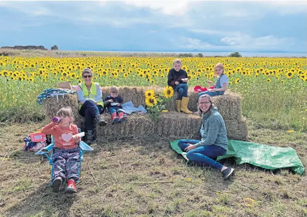  ??  ?? FLOWER POWER: The dazzling Field of Hope on Ardross Farm near Elie welcomed hundreds of visitors during its opening weekend.