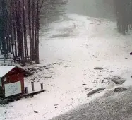  ??  ?? La neve ieri su Monte Falco (1658 metri), tra le province di Arezzo, Firenze e ForlìCesen­a. Nella foto sopra, l’albero caduto in via Vespucci a Firenze a causa del forte vento